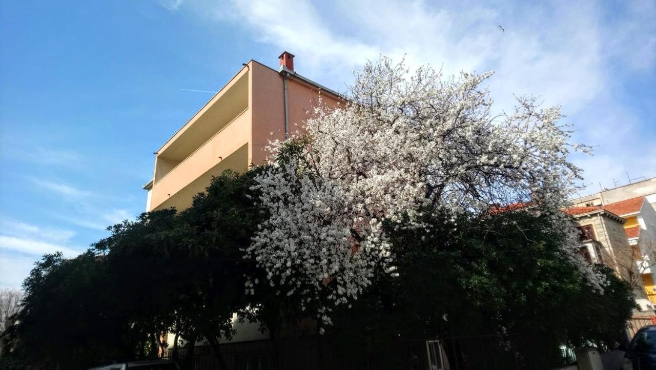 Split Symphony Veranda: Modern, New Apartment 외부 사진