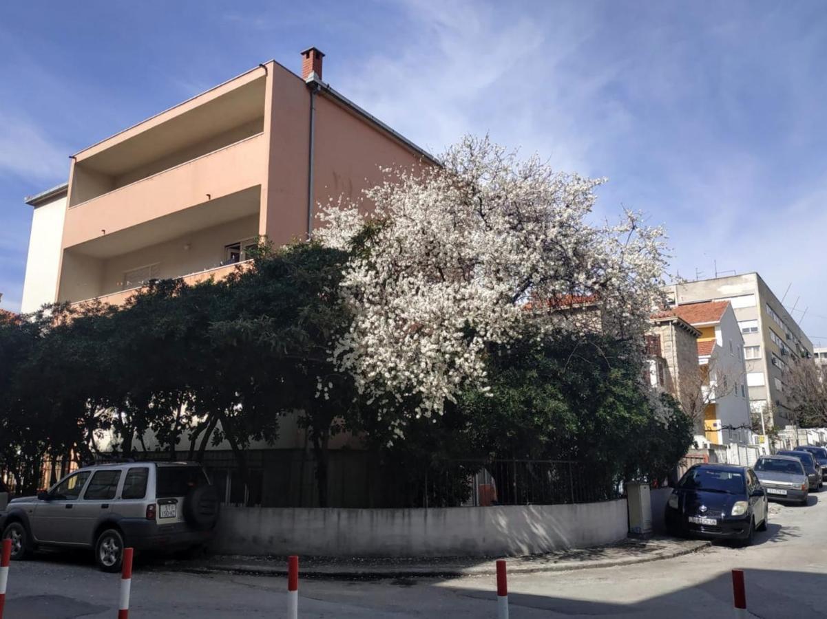 Split Symphony Veranda: Modern, New Apartment 외부 사진